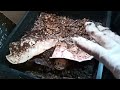 Summer Worm Tower Set Up For Increased Production | Worm Time-lapse #vermicomposting