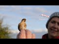 Warwickshire Wildlife Trust WILDLIFE WATCH with Vicky Dunne - new kids series Ep.1 BIRDS!