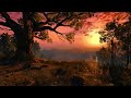 The Witcher 3 - White Orchard [Ambience / Music]