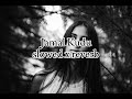 Jamal kudu | new viral trending song 2024 |Animal movie song | slowed x reverb.