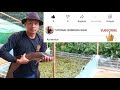 HOW TO USE EM4 FISHERY FOR CULTIVATION OF CATFISH