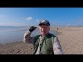 Beach metal detecting beginners guide