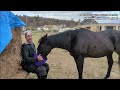 Wild Camping Lorry, Camping Hut, And Horse Riding Weekend Mix - BF Various Videos