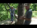 Quit his job to build dream cliffside hamlet in Appalachia