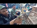Menjelajahi Pasar Burung Tradisional Jawa: Berburu Burung Murah