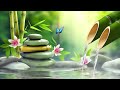 Bamboo Water Fountain and Relaxing Piano Music 🌿 Piano Meditation and Relaxation for Deep Serenity