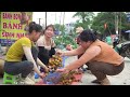 Harvest Lychee Fruit Goes To Market Sell - Lychee Ripening Season | Tieu Toan New Life