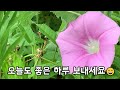 멈추면 보인다/ 지나치면서 보지 못한 것들이