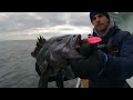 Party Boat fishing south of block island for deep water Seabass and Blackfish (tautog)