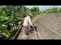 50 year old abandoned house revealed horrifyingly while clearing grass  SHOCK CONVERSION