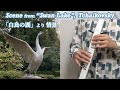 [EWI Cover] Scene from Swan Lake/Tchaikovsky～ EWI5000 Oboe