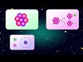 All Fundamental Forces and Particles Explained Simply | Elementary particles