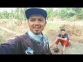 TUTORIAL / ATAU CARA MANCING IKAN BULAN BULAN / TEMBAKANG !! DI JAMIN PANEN STREAK.