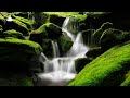 Reiki Music ✧ Physical, Mental & Spiritual Healing ✧ Healing Reiki Meditation