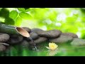 Relaxing Music With The Sound Of Nature Bamboo Water Fountain Relax Music ,Sleep Music, Study 4k