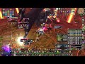 BWD25 Arms Warr PoV - NEFarian  (BiS Friends) # 1