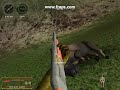 Hunting Unlimited 2008 - Sick Buffalo Frags ***7 KILLS***