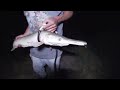 south texas gar adventure part 6 (we got a mystery fish)