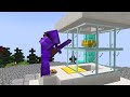 HOW I BECAME A CROREPATI in this Minecraft SMP...