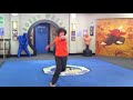 Kickin' It Leo Howard performs martial arts