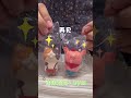 开箱 Blind Box