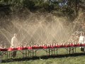 The Extreme Diet Coke & Mentos Experiments II - The Domino Effect