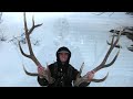 Shed Hunting Elk and Deer Antlers