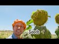 Blippi Visits Tanaka Farm | Healthy Eating Videos For Kids | Educational Videos For Kids