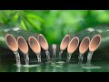 Bamboo Water Fountain | Relaxing Music, Background Music, Meditation Music, Stress Relief