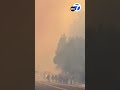 Firefighters battle massive Park Fire in California