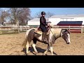 First Ride On My Auction Mare! I Did Not Expect That…