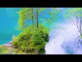 Relaxing Music for Stress Relief 🌿 Meditation Music, Sleep Music, Soothing Music