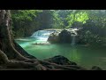 Jungle Ambience 4K | Waterfall River Ambience | Water & Bird Nature Sounds | Tropical Amazon Jungle