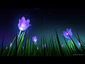 Relaxing Sleep Music and Night Nature Sounds: Soft Crickets, Beautiful Piano, Fall Asleep Fast