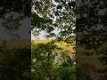 Mississippi River Peaceful nature sounds #summer #relax #family #asmr #quiet #birds #natute #viral