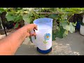 लौकी सड़क नहीं करेगी आएंगे ढेर सारी लौकी फ्रीकी चीज से How to get more bottle guard in poted plant