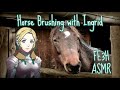 🐴 Brushing Horses with Ingrid 🐴 Fire Emblem ASMR | [Soft Spoken, Hair Brushing, Horse Sounds]