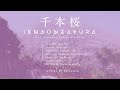 Senbonzakura 千本桜 (a thousand cherry blossoms) for koto ensemble.