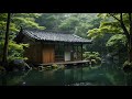 Japanese Flute Ambient Instrumental Relaxing Music Positive Energy And Chillout Melodies Relaxation