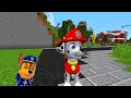 LA CASA DE LA PAW PATROL APARECE DEBAJO DE LA CIUDAD EN MINECRAFT 😱