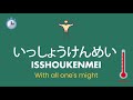 Hiragana and Katakana Quiz | Learn Japanese