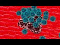 Deep Insight Into Immuno-Oncology: Immunotherapy Pathways, Targets, and Biomarkers