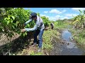 Limpando Área que Vamos Iniciar a Plantação Vejam Só Como tá Ficando Dia de Trabalho Abençoado