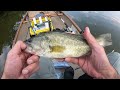 Snakehead Perch Crappie Bass on Newton Lake