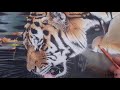 Tiger Drawing in Pastel
