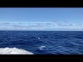 The Pacific Ocean from Seabourn Sojourn