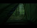 Sound of Heavy Rain at Noon on the Tent | Sleep Fast and Reduce Stress | Rain Best Sounds | ASMR