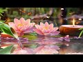 Relaxing Music to Rest the Mind - Meditation Music,Peaceful Music, Stress Relief, Zen, Spa, Sleeping