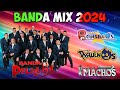 Pequeños Musical, Banda Cuisillos, Banda Machos, Pelillos ll Bandas Viejitas Pero Bonitas Movidas