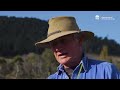 How to build resilience to #bushfires with regenerative agriculture - Farmer Martin Royds